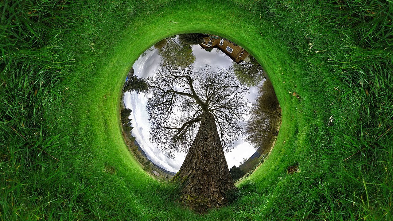 My Photography: Best of 2011