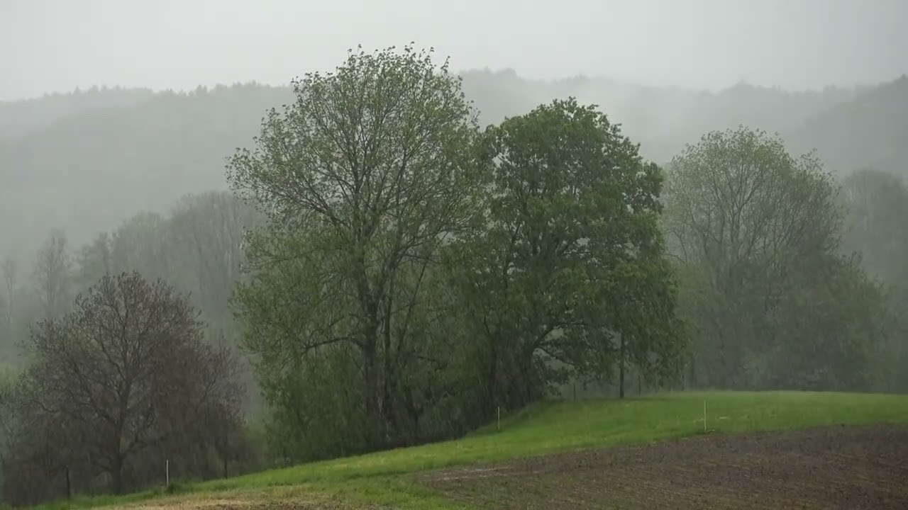 Peaceful sounds of rain and a relaxing landscape of countryside getting rained down on