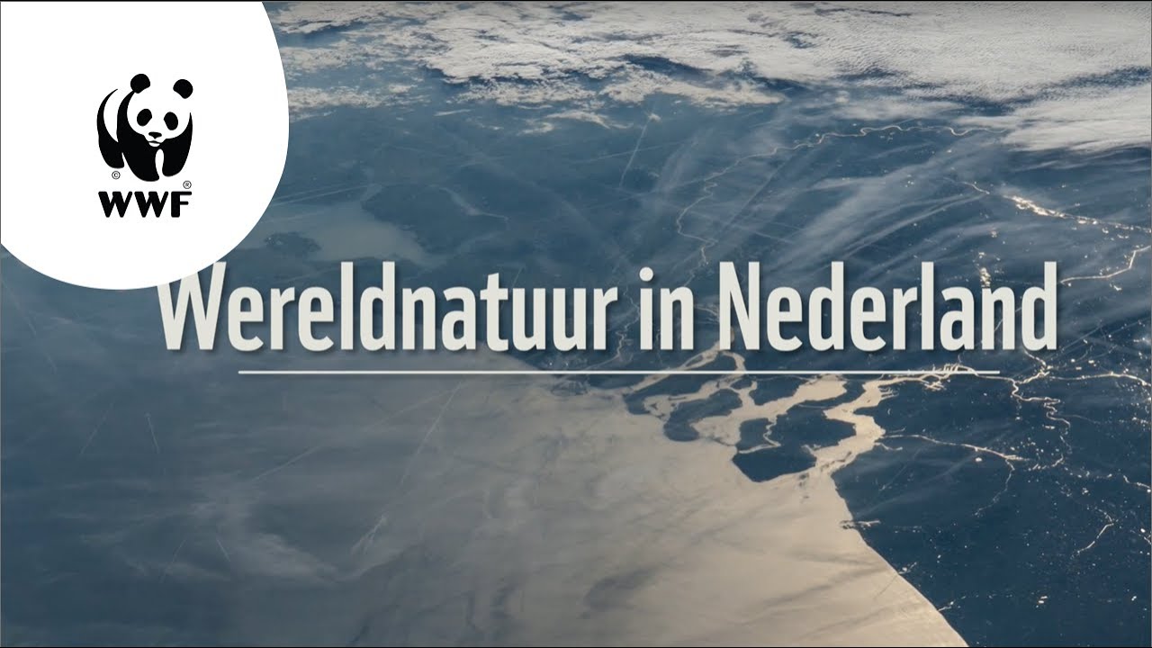 Wereldnatuur: 3 redenen waarom Nederland unieke natuur heeft