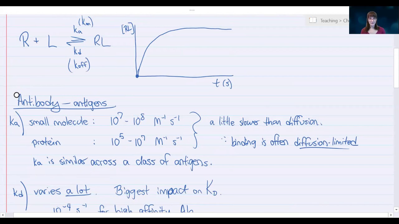 Bioanalytical Chemistry:  Kinetics of Antibody Binding