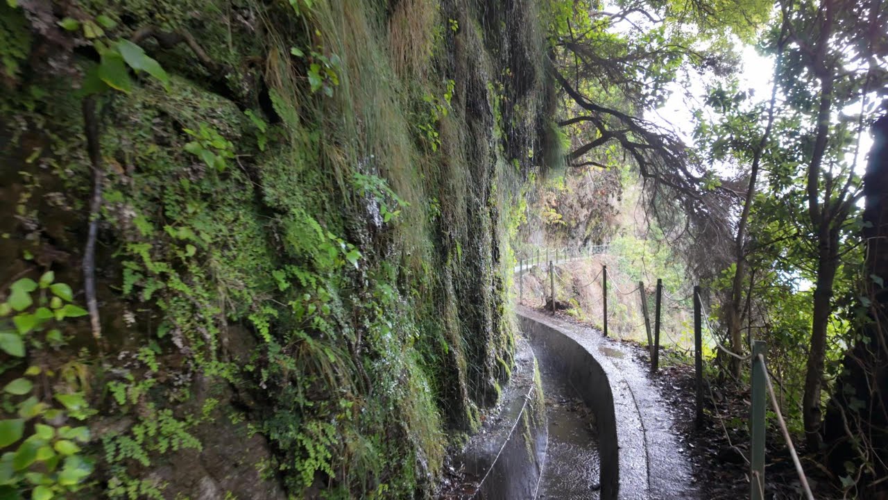 Levada do Moinho - Levada Nova Madeira 2025 PT.1