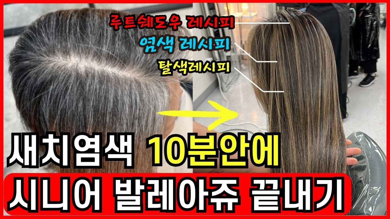 블랙으로 새치염색 지겨우시죠, 옴브레 발레아쥬 만들기 위한 10분 꿀팁! 따라만하세요! (시니어 블렌딩)