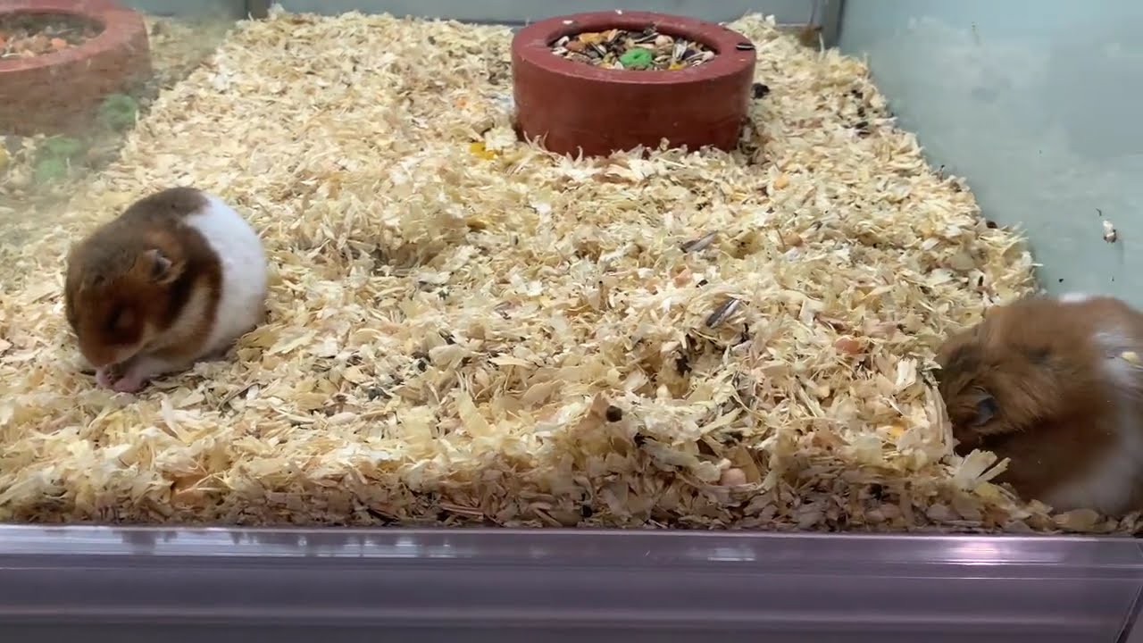 Pequenos encontros cheios de vida