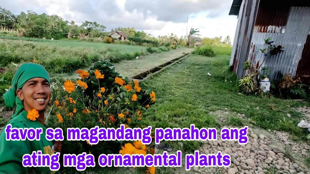 Favor ang ating halaman sa magandang panahon