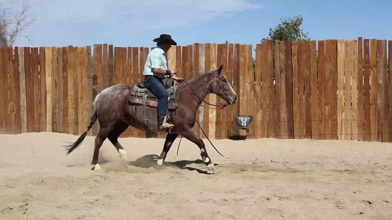 Lee Poncelet works and talks about  the BLI Pro Series