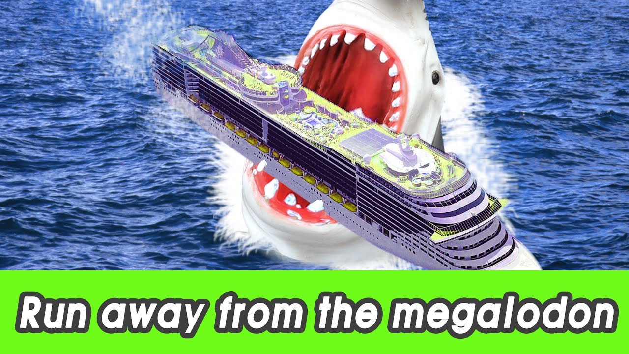 [EN] #97 Run away from the megalodon! kids education, learn animals name, CollectaㅣCoCosToy