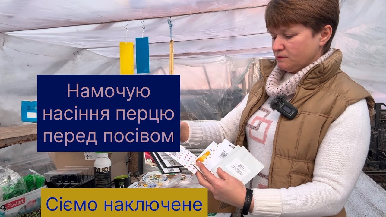 Розпочинаємо сезон розсади, намочила насіння перцю.