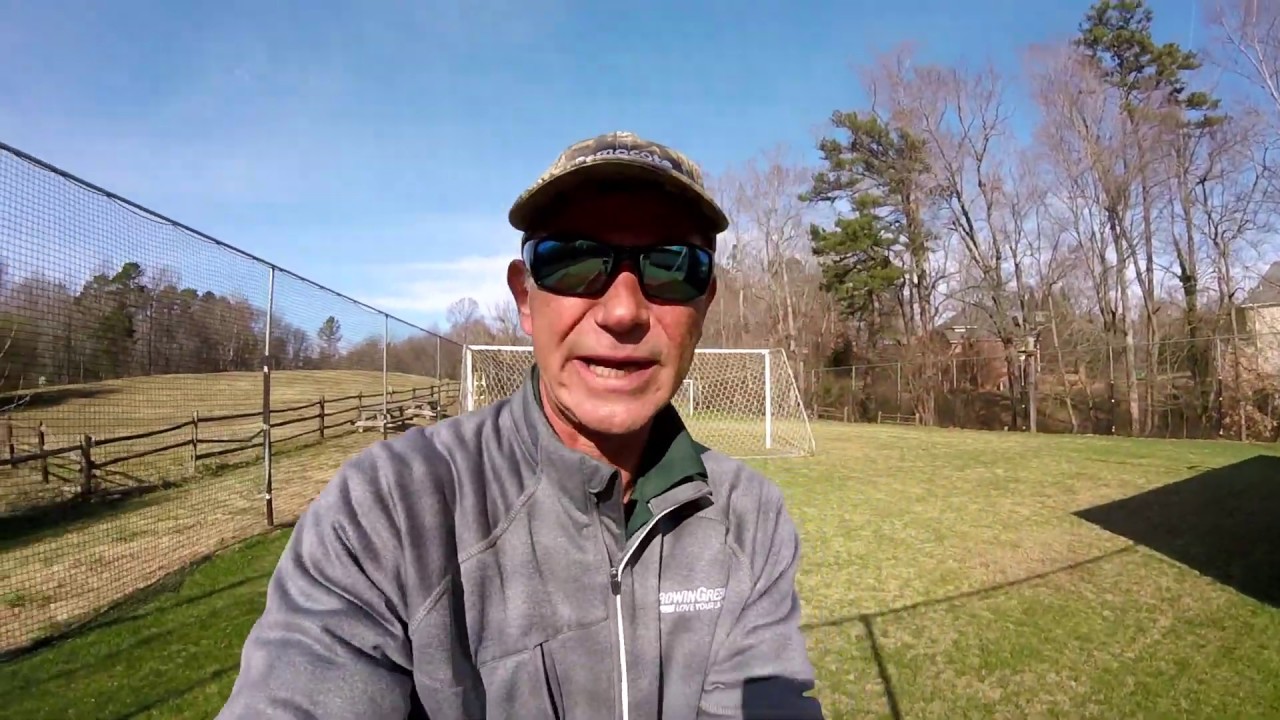 Mole control with Talpirid Bait