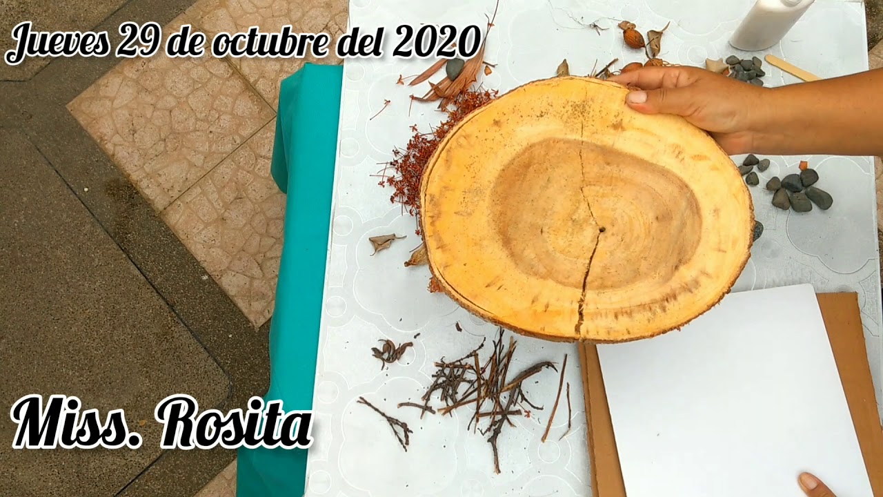 Me divierto creando un Land Art.