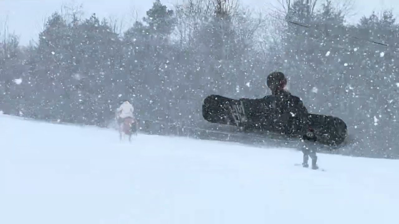 First skijoring attempt