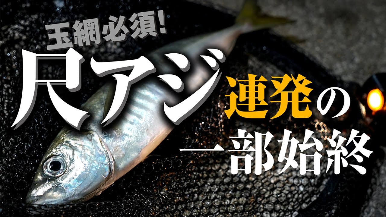堤防から尺オーバーのアジが連発！その一部始終【実録！尺探訪～アジング編～】
