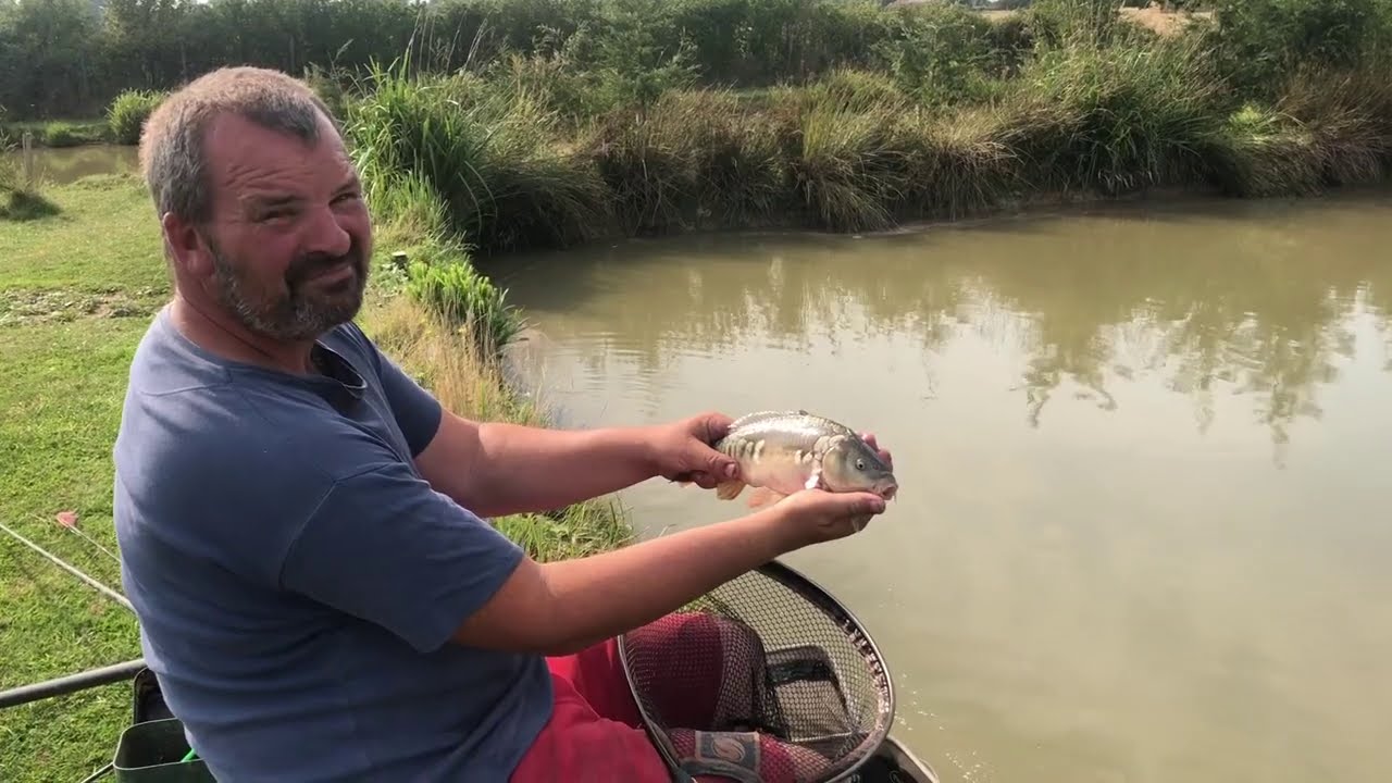 Carp Shalla down the edge - Live match - Forest Lane Fisheries