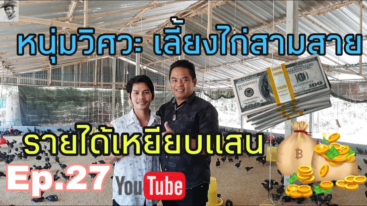 Ep.27 หนุ่มวิศวะอาชีพเสริม เลี้ยงไก่สามสายรายได้เหยียบแสน