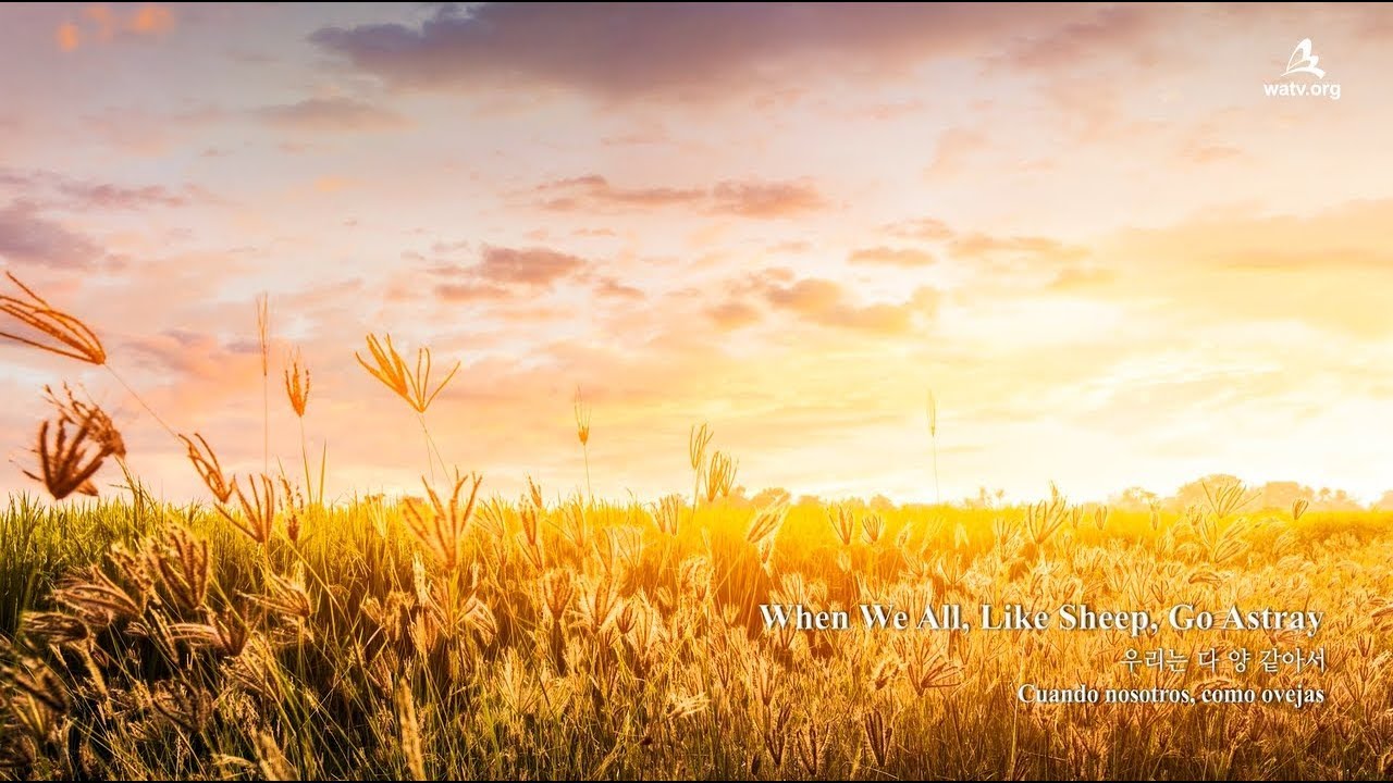〖NEW SONG〗When We All, Like Sheep, Go Astray 우리는 다 양 같아서 ▷ WMSCOG, 하나님의 교회