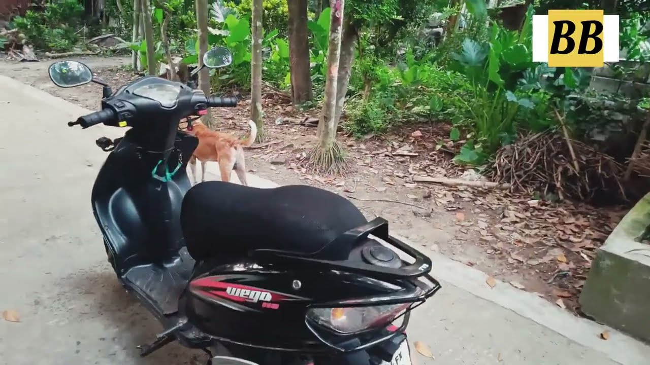 Long Tear Review Of TVS Wego || 15 Year Old Scooty 🤩
