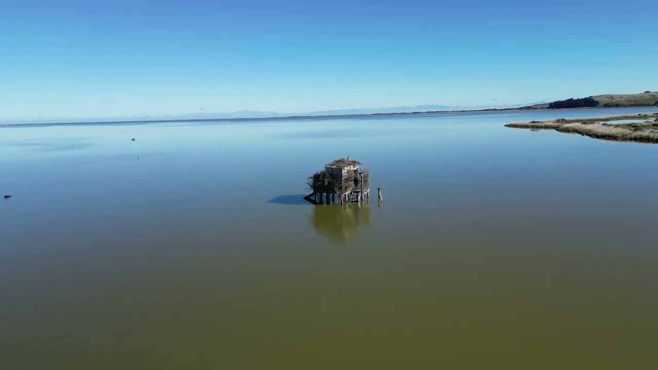 Before the duck shooting | 29 March 2025 Lake Ellesmere (Te Waihora)
