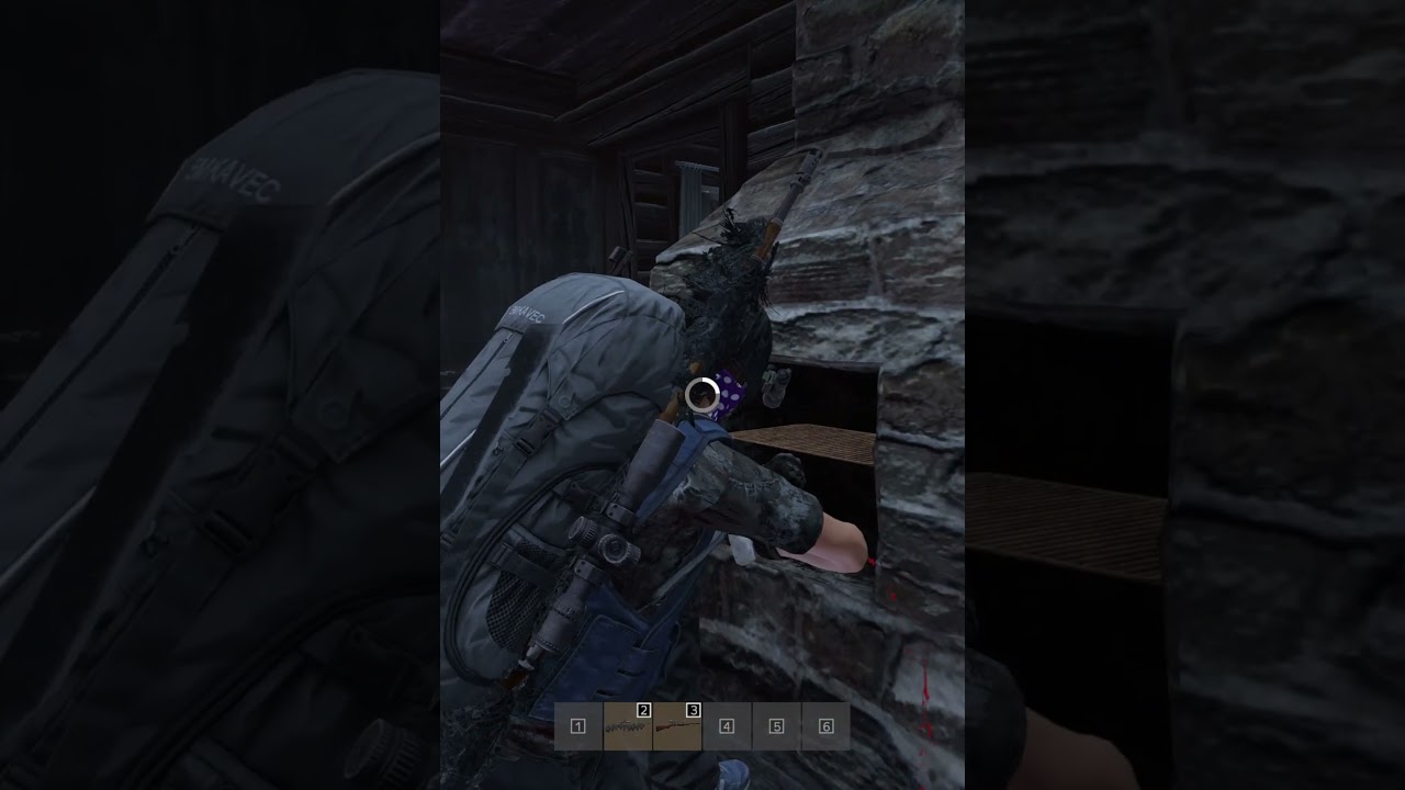 Не мог понять кто стонет #dayz #dayzmod #gaming #dayzgamers #games #survivalmode #gameplay #pvp