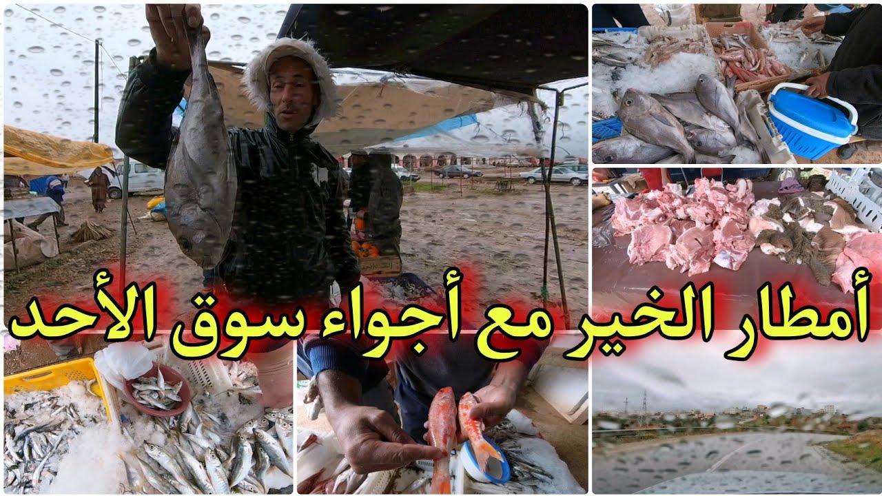 جولة رفقة التجار بـسوق الأحد تمسمان تحت أمطار الخير لتعرف اثمنة الحوت😍خيرات الله موجودة تبارك الله 🤲
