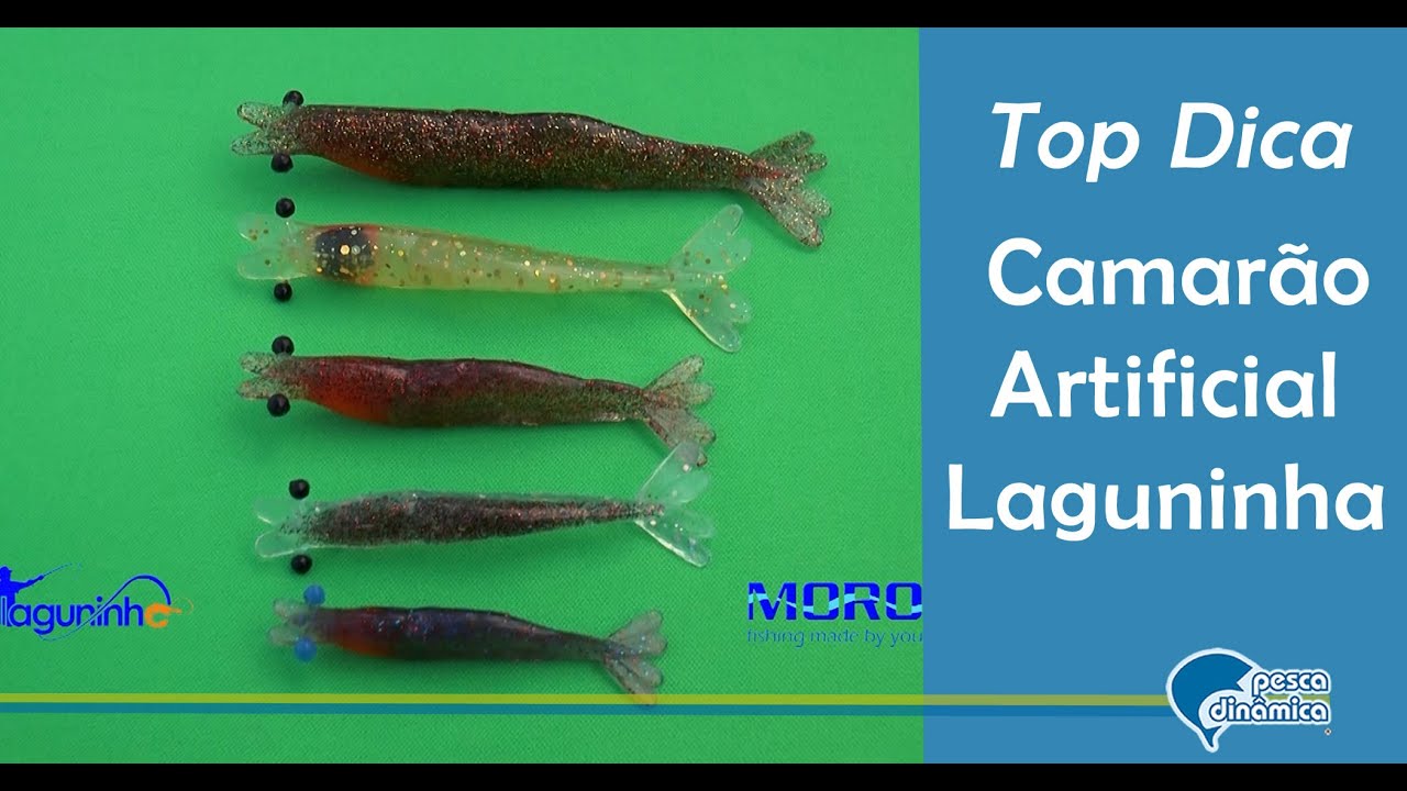 Top Dica - Descubra qual &eacute; o melhor camar&atilde;o artificial do Brasil!