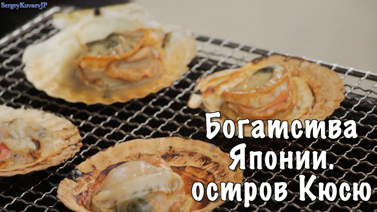 Черная икра в Японии и как найти свою любовь? Остров Кюсю