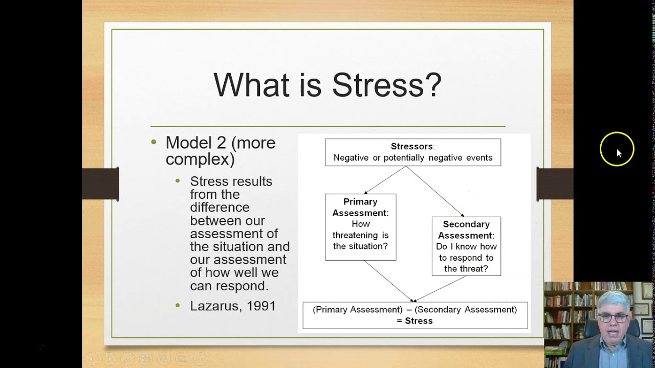Three Models of Stress: How Humans Respond to Pressure