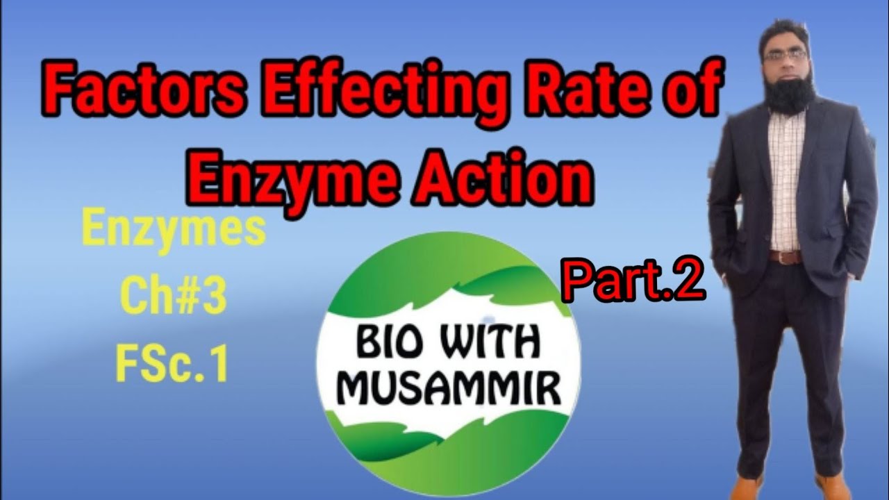 Factors Effecting Rate of Enzyme Action |Need of optimum temperature|pH value| Enzymes|FSc.1|Part.2