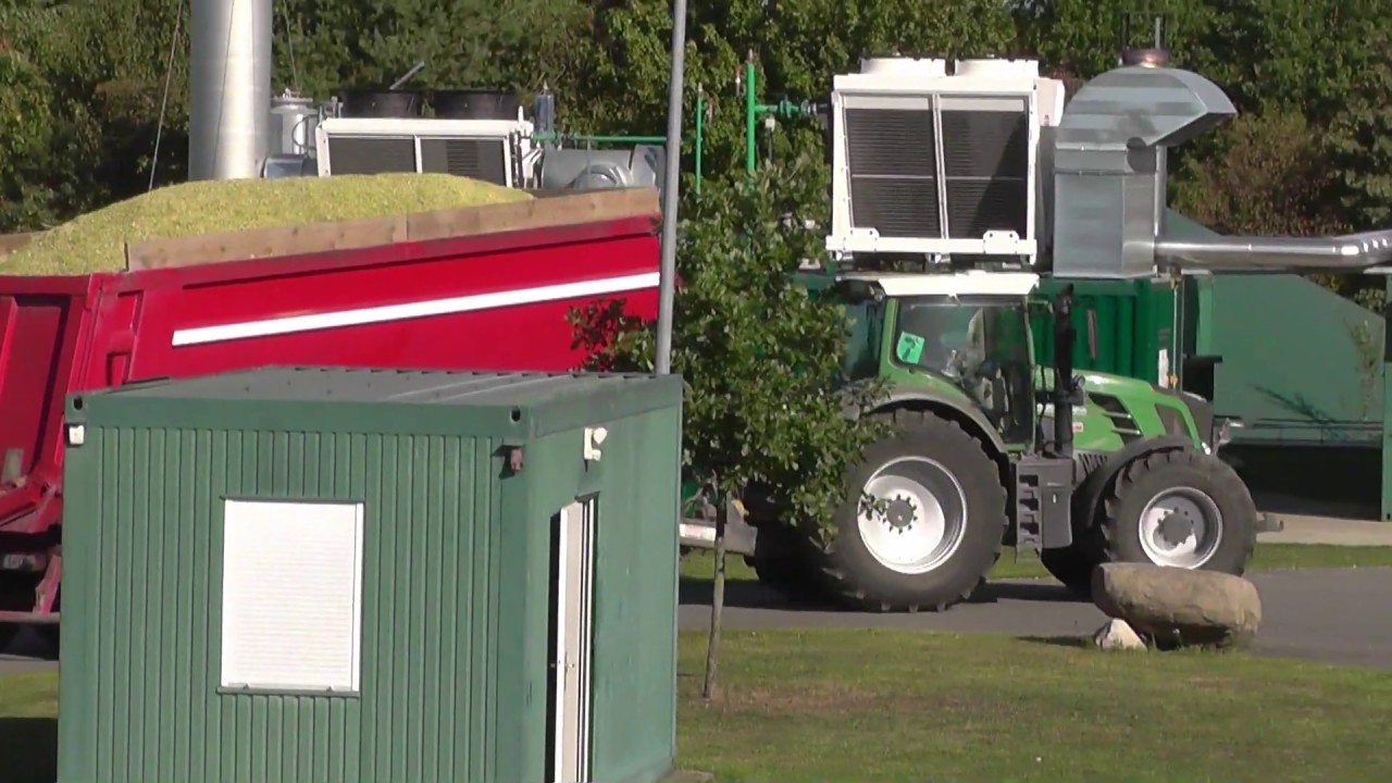 Mais Häckseln 2019 mit Fendt 828 Vario als Nachschub - Bomber