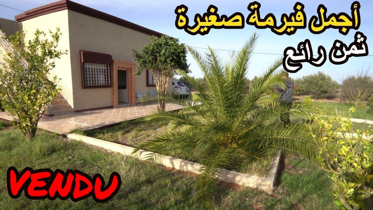 ✨من أجمل الفيرمات الصغيرة 5000 متر بالمنزل وجميع الأشجار المثمرة أجي وسكن ✨تيفلت 🛑❌تم البيع❌🛑