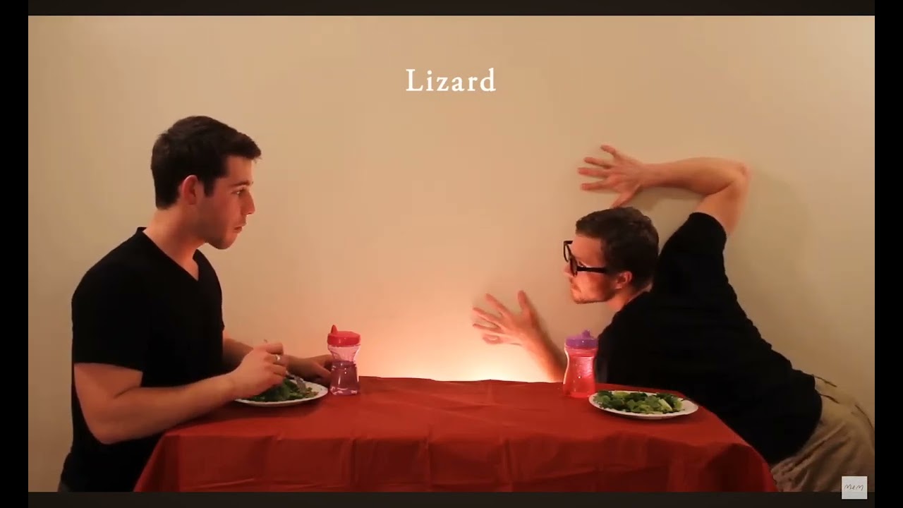 How animals eat their food
