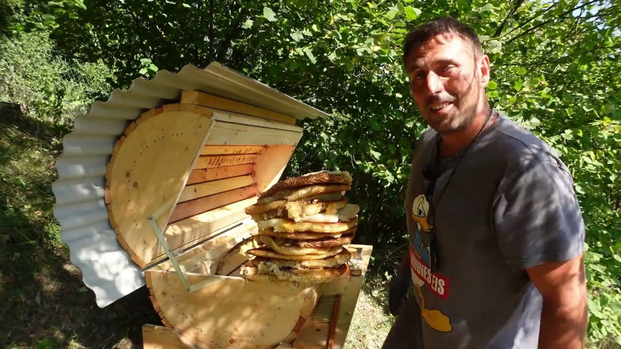 Alle Bienen Tod Hilfe Imker ratlos