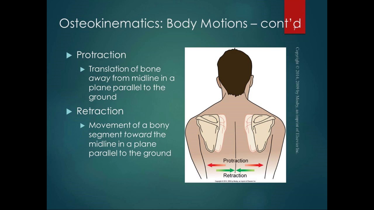 Chapter 1 Lecture Part 2 Osteokinematics