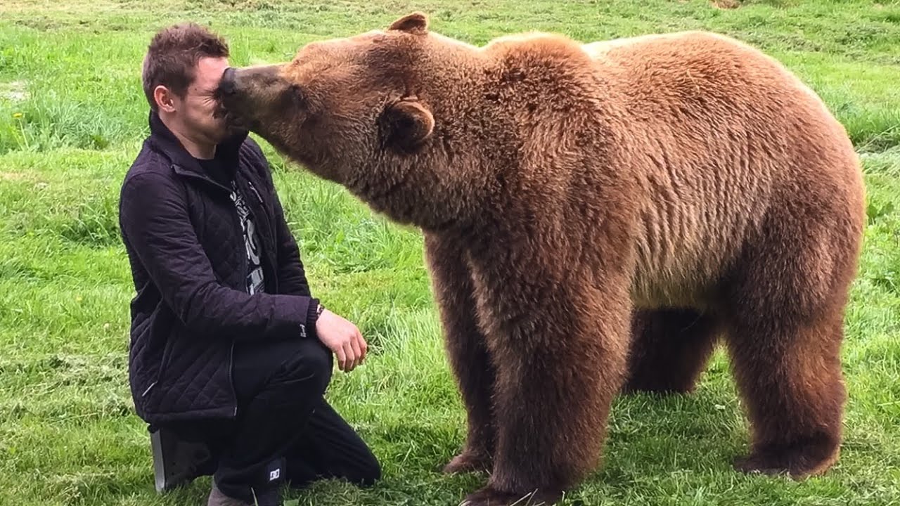 MAN vs BEAR!