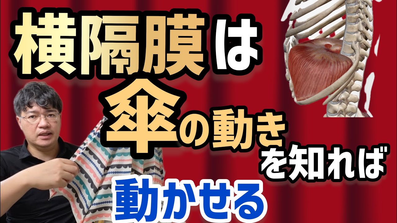 横隔膜の動かし方がわからない人は、傘の開き方、閉じ方を参考に。