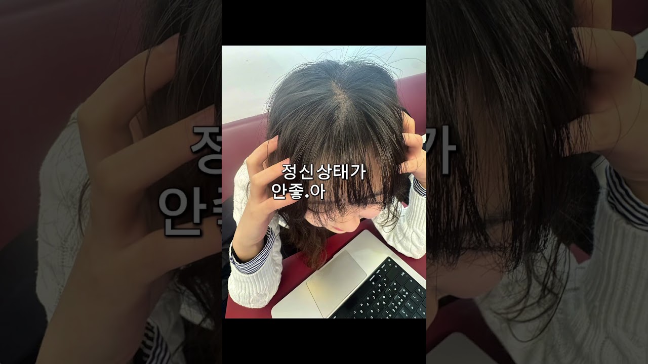 예술학과 팔리아치 브이로그