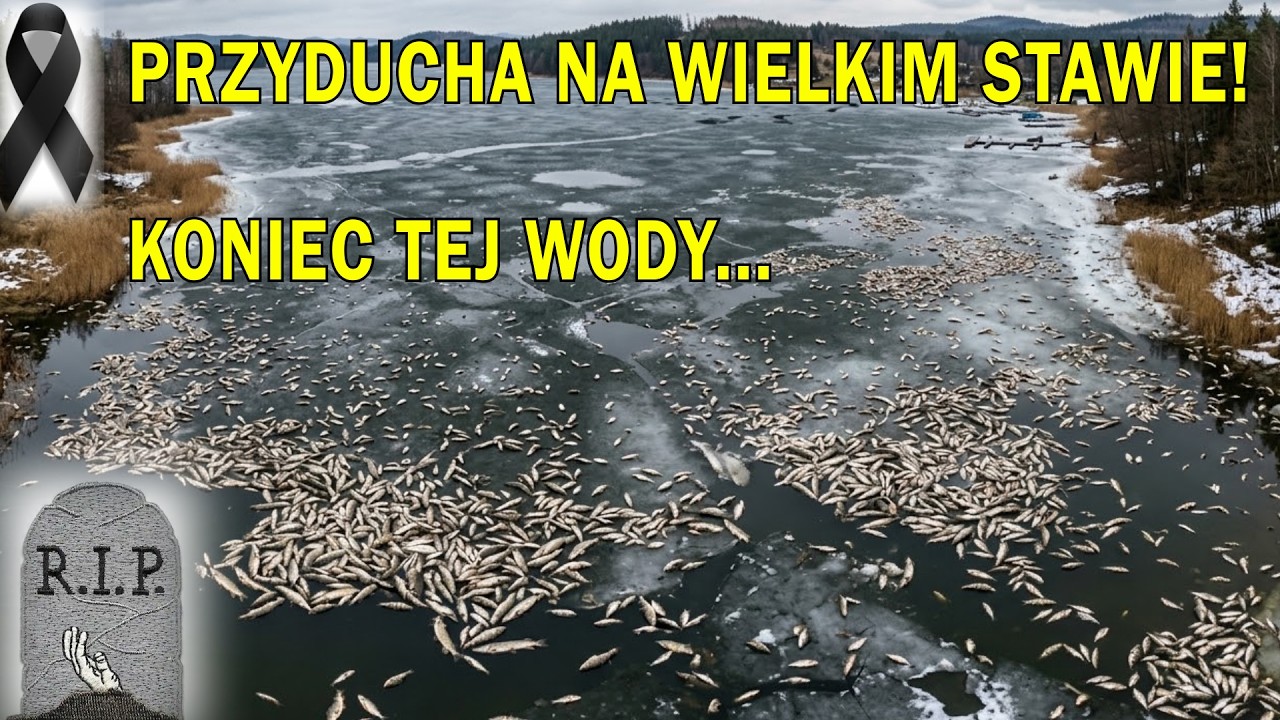 (rip) PADŁO WSZYSTKO - NIE ŻYJE WODA DZIECIŃSTWA :( przyducha nie oszczędziła!
