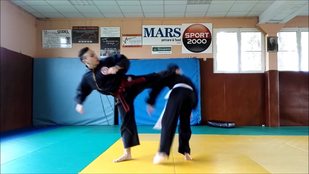 qwan ki do démo