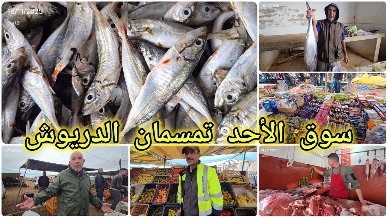 🚨سوق الأحد تمسمان وتحت أجواء ممطرة🌧 الحوت موجود  تبارك الله بأثمنة متنوعة 🤲🥰