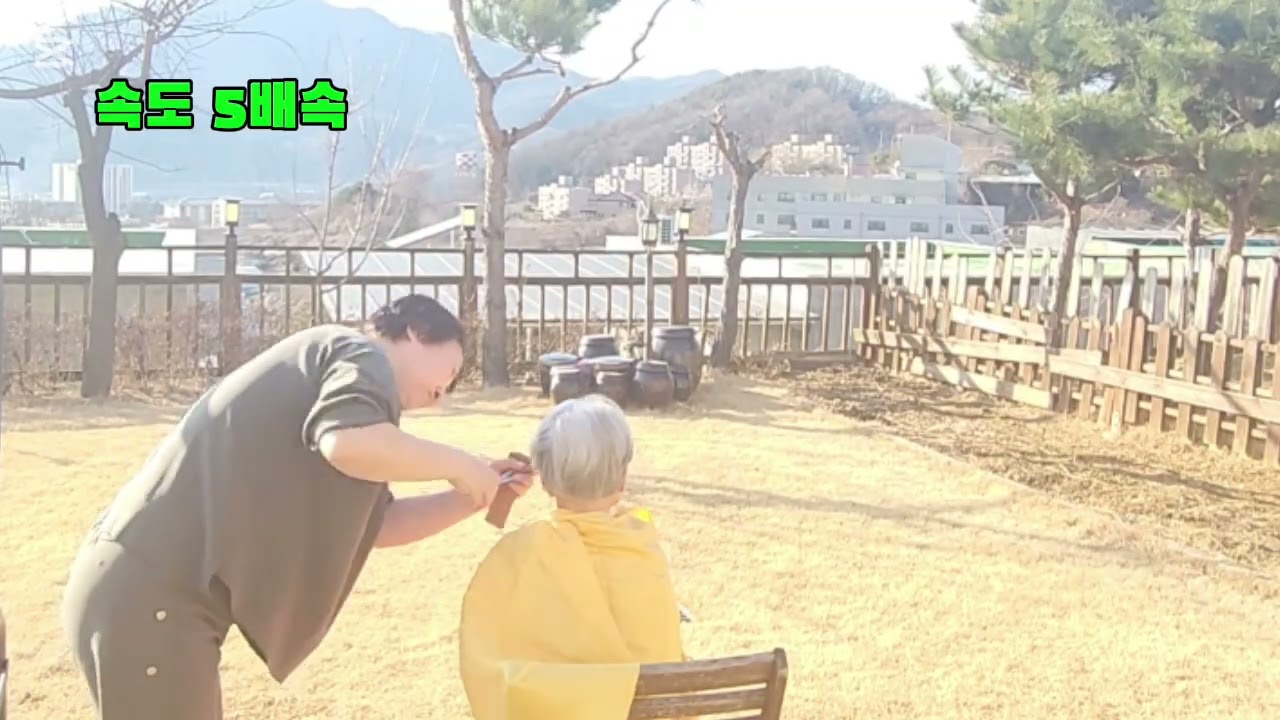 100세 울엄마가 달라졌어요~#고구마 #영양식 #머리자르기 #건강 #행복