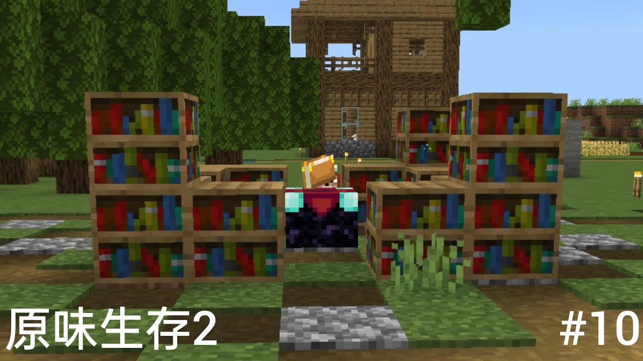 原味生存II #10