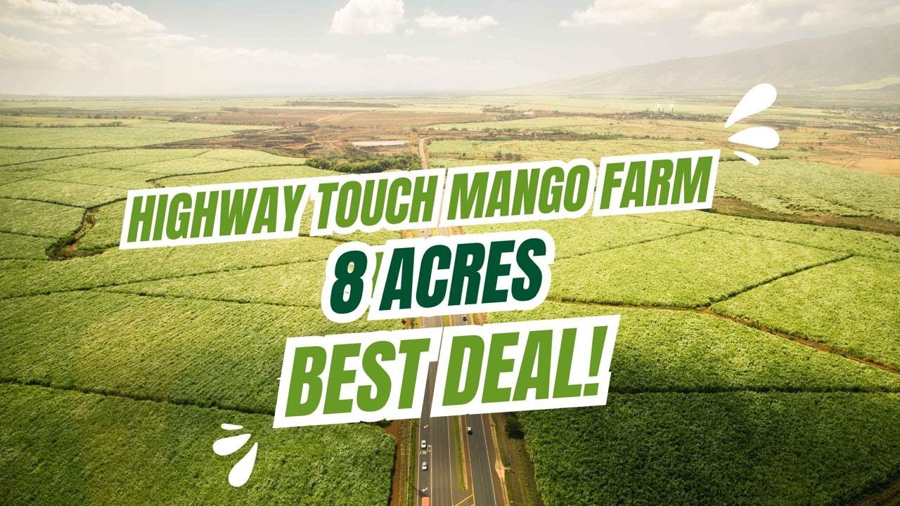 8 ACRES HIGHWAY TOUCH PREMIUM MANGO FARM LAND (EXCLUSIVE PROPERTY) - 9136019655