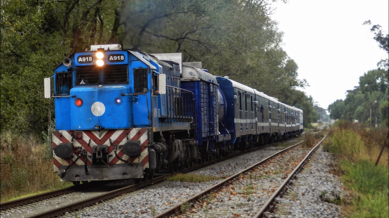 El Regreso del Tren Sanitario a Buenos Aires!!! | #trenesargentinos #lineagralroca 