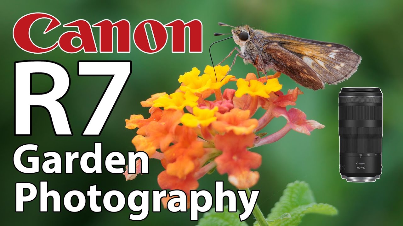 Canon R7 RF 100-400 Garden Flower, Butterfly & Bird Photography