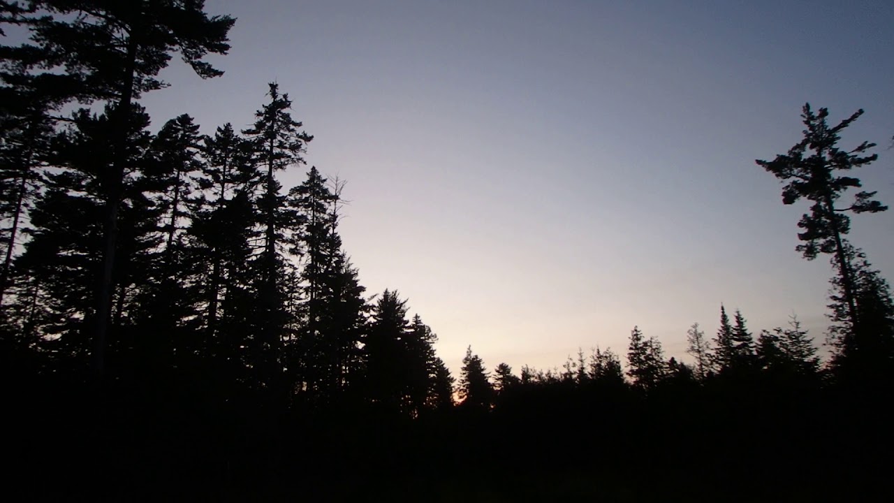 Out of bed, away from depression, walking, the world, and Danforth, Maine, looks beautiful!