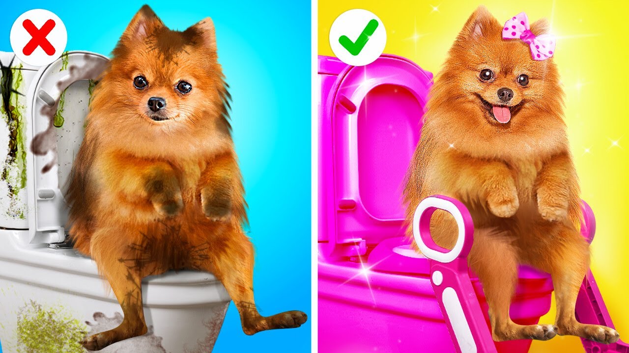 すごい！😍 バービーがこの小さな子犬を救った！🎀 ペットオーナーのための素晴らしいハック* by 123GO!