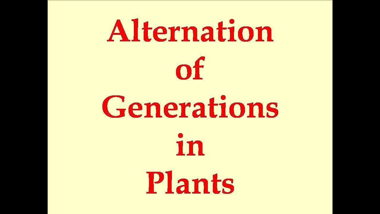 Alternation of generations in plants NEET 2018