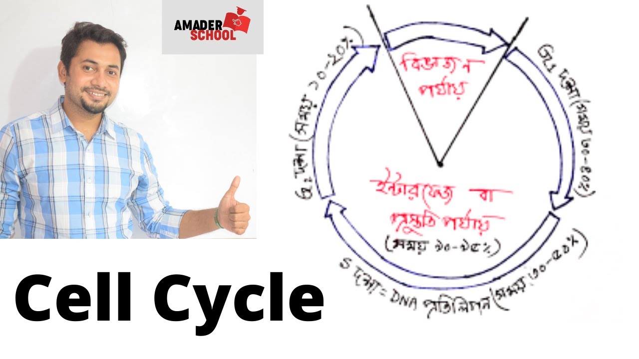 01. Cell Cycle | HSC Botany Chapter 2 | কোষ চক্র । কোষ বিভাজন । ফাহাদ স্যার
