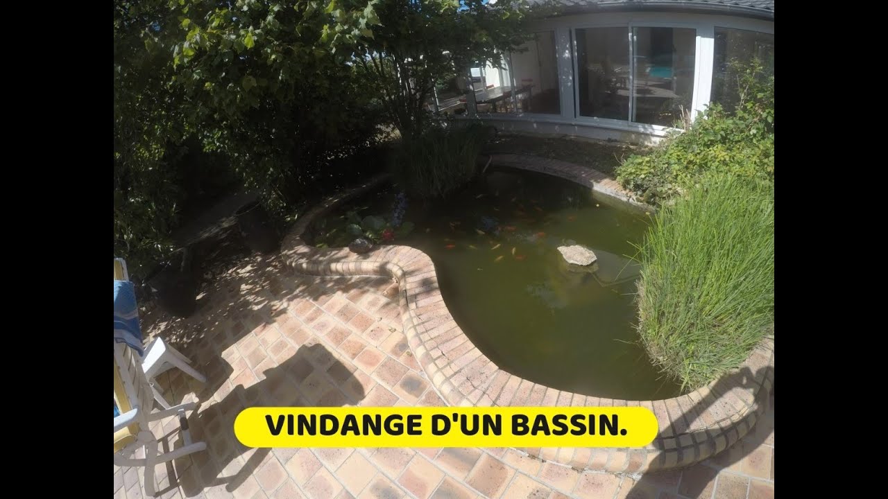 VIDANGE D'UN BASSIN+PLEIN DE DECOUVERTE.