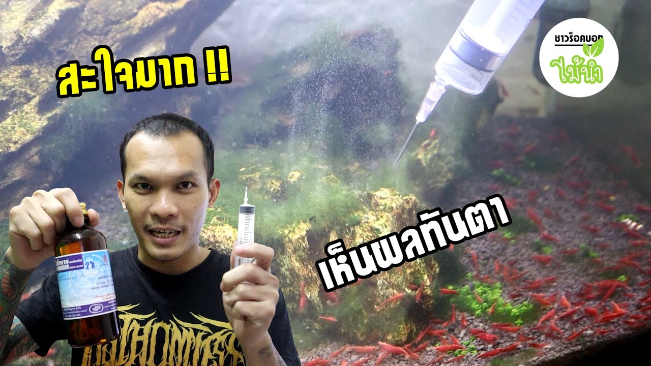 วิธีกำจัดตะไคร่ด้วยไฮโดรเจน (H2O2) | ชาวร็อคบอกไม้น้ำ