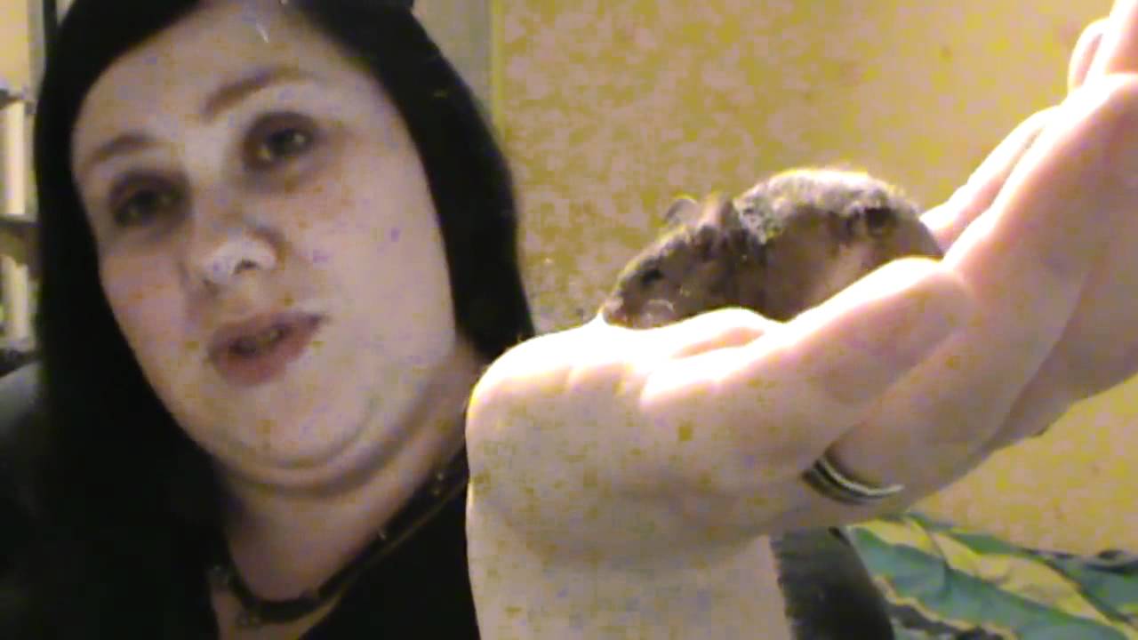 Kina i nowy mieszkaniec mojego domu.