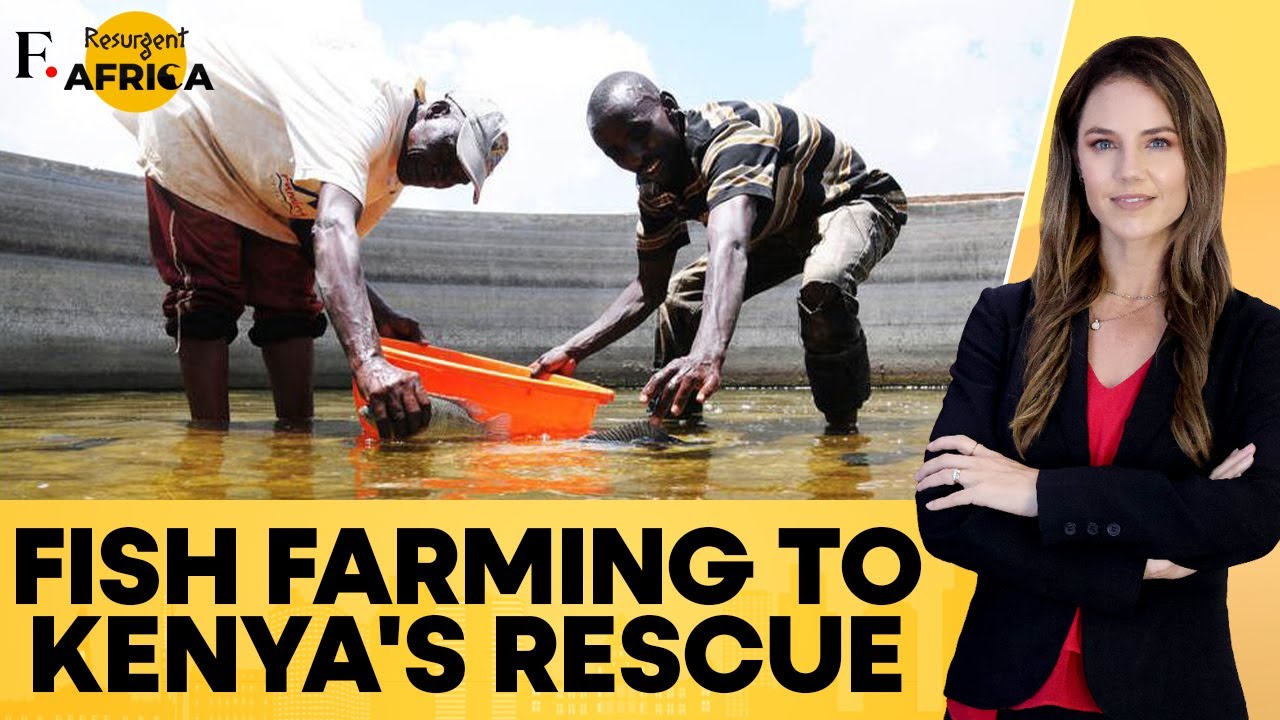Kenya: Maasai Women Turn to Fish Farming as Drought Claims Millions of Cattle | Firstpost Africa